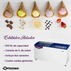 Freezer Exhibidor 550Lts