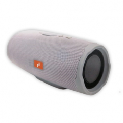 Parlante Bluetooth Netmak 10W