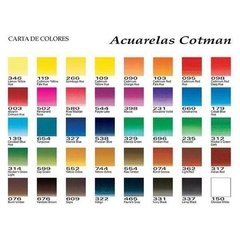 Winsor & Newton Cotman Acuarela 1/2 Pastilla - (40 Colores)