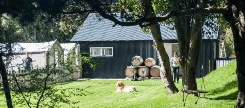 Carrusel Muller&Wolf, Bodega de Vinagres