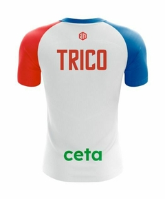 Remera de Entrenamiento 2023 - comprar online