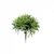 117928 F.PICK PODOCARPUS C/POWDER X5 (VERDE) 23CM