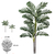 31935-001 - 107605-A.PALMEIRA ARECA REAL TOQUE X17 (VERDE) 1,80M