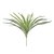 113777 F. Dracena X24 (verde creme) 35cm