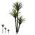 41571-001 - 113367 A. Yucca plt. X212 (verde) 1,70 M