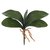 114716 F. Folha Orquidea X5(verde) 26cm