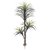 114815 A. Yucca plt X203(verde) 1,50m