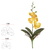 117842-H.ORQUIDEA PHALAENOPSIS REAL TOQUE C/ FOLHA X4