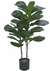 43633-001 - 117084 A.FICUS LYRATA REAL TOQUE X34 (VERDE) 95CM