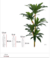 31931-001 A Dracena Real Toque X81(Verde) 1,25m