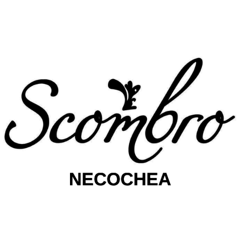 Scombro Necochea