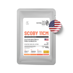 Scoby de kombucha americano + Starter, Scoby White Labs WL600, Scoby americano, Matriz de Kombucha Americana, The Kombucha Hub.