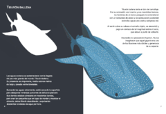 Animales marinos ¡Conócelos de cerca! en internet