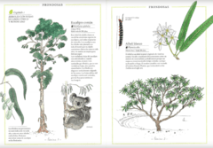 Inventario ilustrado de los árboles - comprar en línea