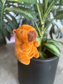 Peluche Capibara - comprar online