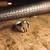 Anillo 2 Iniciales (Plata y Oro) - comprar online