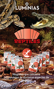 Reptiles en internet