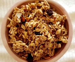 Granola Fibra 100gr - comprar online