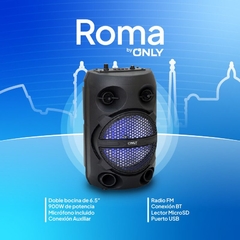 PARLANTE 6.5” – MOD FS-6513 – ONLY ROMA - comprar online