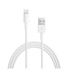 CABLE ORIGINAL IPHONE LIGHTNING TO USB CABLE (1M) en internet