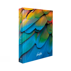 Caixa Decorativa Book Box Gallery Jackie Wild_ Compre Bokk Box Online na Loja Thoulouse