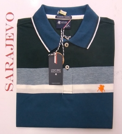 Chomba rayada Oxford Polo Club Art. Spring- Cod. Int. Corvus / C: 04