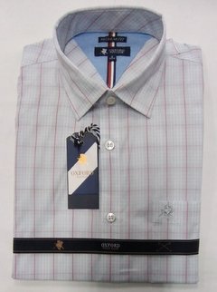 Camisa manga larga Oxford Polo Club Art- Positano- Int: Gosford- C: W22104