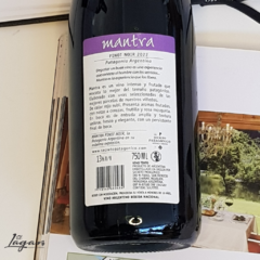 Mantra Pinot Noir 750cc Bodega Secreto Patagonico - comprar online
