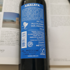 Amalaya Malbec 750cc - comprar online