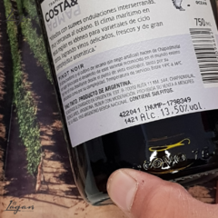 Costa & Pampa Pinot Noir 750cc Bodega Trapiche - comprar online