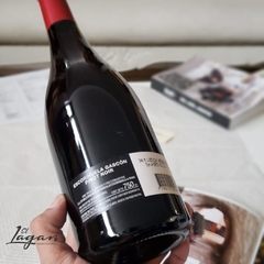 Escorihuela Gascon Pinot Noir 750cc - comprar online