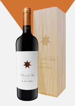 Clos de los 7 750 cc Con Cofre de Madera (Michel Rolland)