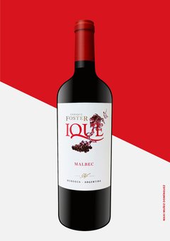 Ique Malbec 750 cc (Bodega Enrique Foster)