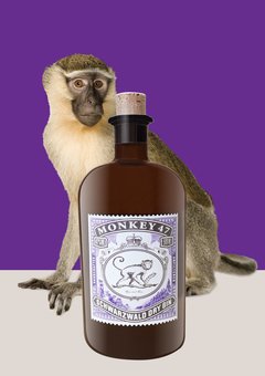 Gin Alemán Monkey 47 500 cc