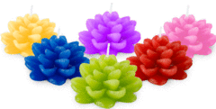 Vela Flor de Loto - comprar online