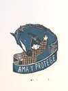 Ama y protege / serie La anarquía explicada a los niñxs