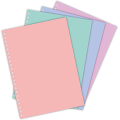 Cuaderno A4 Norpac de hojas Removibles - comprar online