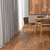 Porcelanato Di legno Campari 20x122 - comprar online