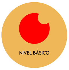 Curso online · Nivel básico ·