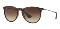 Ray-Ban 4171 Erika Carey