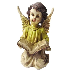 Estatua Anjo com livro em resina 16cm