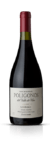 Familia Zuccardi - Polígonos San Pablo Malbec