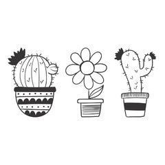 Cactus en internet