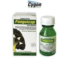 Fungicap x 15 capsulas