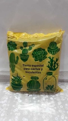 Tierra para cactus y suculentas 1 DM