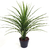 Planta Artificial Muda Yucca