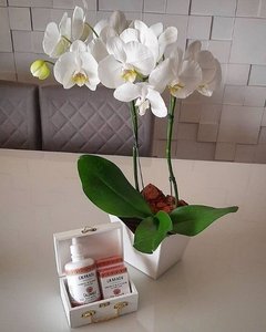 Bela Orquídea Phalaenopsis e Kit Granado em Baú