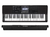 Kit completo teclado Casio CTX800 - Oeste Music