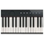 Piano Electrico 88 Teclas Casio Pxs1000 en internet