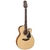 Guitarra Electroacustica Takamine Gn10ce + Funda - comprar online